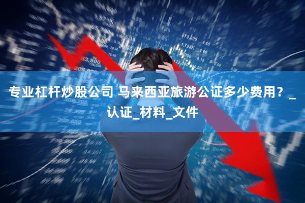 专业杠杆炒股公司 马来西亚旅游公证多少费用?_认证_材料_文件