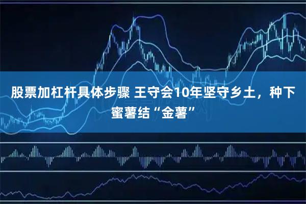 股票加杠杆具体步骤 王守会10年坚守乡土，种下蜜薯结“金薯”